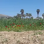 Anna Paros נאוסה