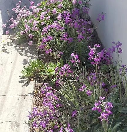 Anna Studios * Naousa (Paros)