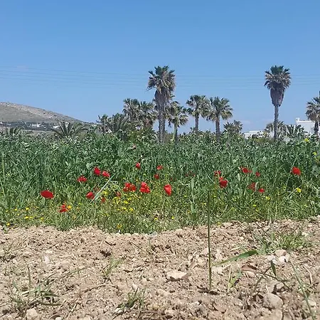 Anna Studios Naousa (Paros)