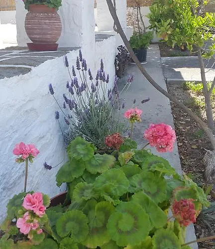 Apartman Anna Paros Náusza